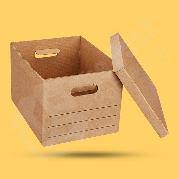 CORRUGATED BOX WITH LIDS